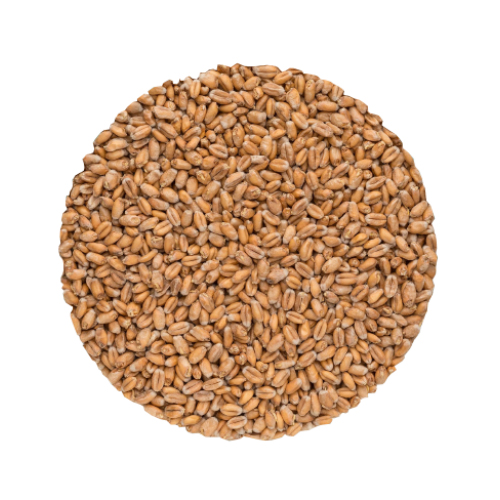 Wheat Malt | Helsäck | Bindewald | 25 kg